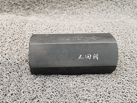 广濑止回阀